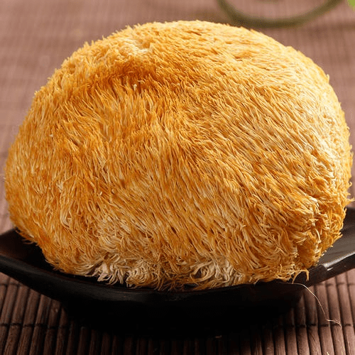 "三个运城"农业品牌之"垣曲猴头"_燕窝_肉质_气味