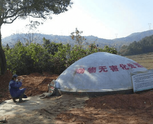 化尸池处理是一种常见的处理方法,主要通过微生物分解动物尸体,使其