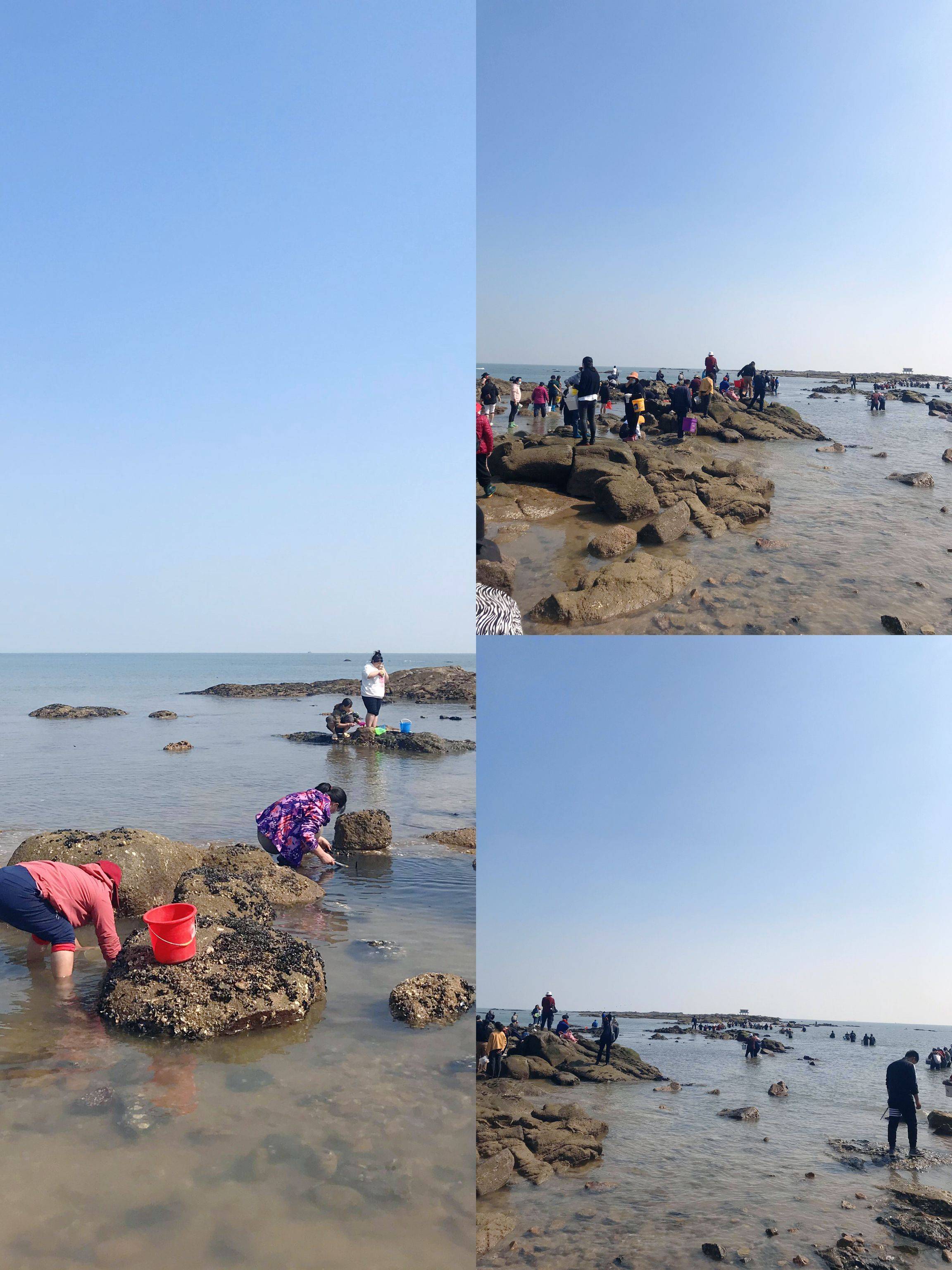 73任家台礁石海滩不到15点以后,就有很多本地的市民来赶海啦.