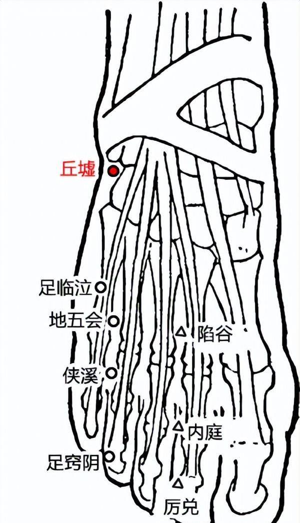 「穴位」在足踝外侧的四个穴位