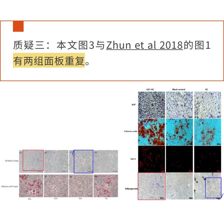 干货满满（想象作文500字左右）想象作文500字左右六年级 第5张