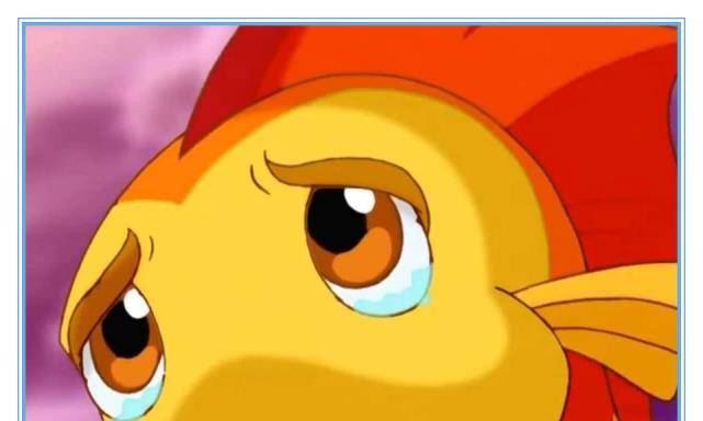 不过泡泡偶尔也会出现行为冒失的情况,他有一次就跟阿酷两个人闯入了