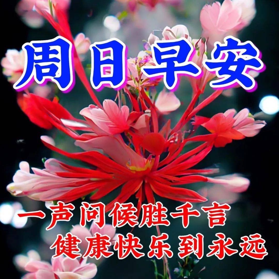 4月16日周日早上好周末清晨温馨暖心祝福图