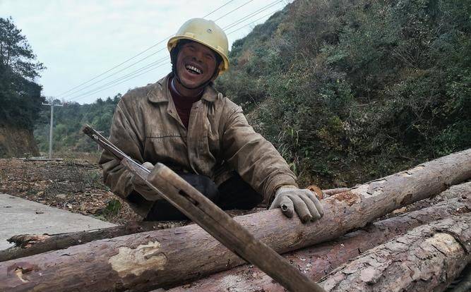 黑龙江伐木工招聘 黑龙江伐木劳模_工作_一定的_木材