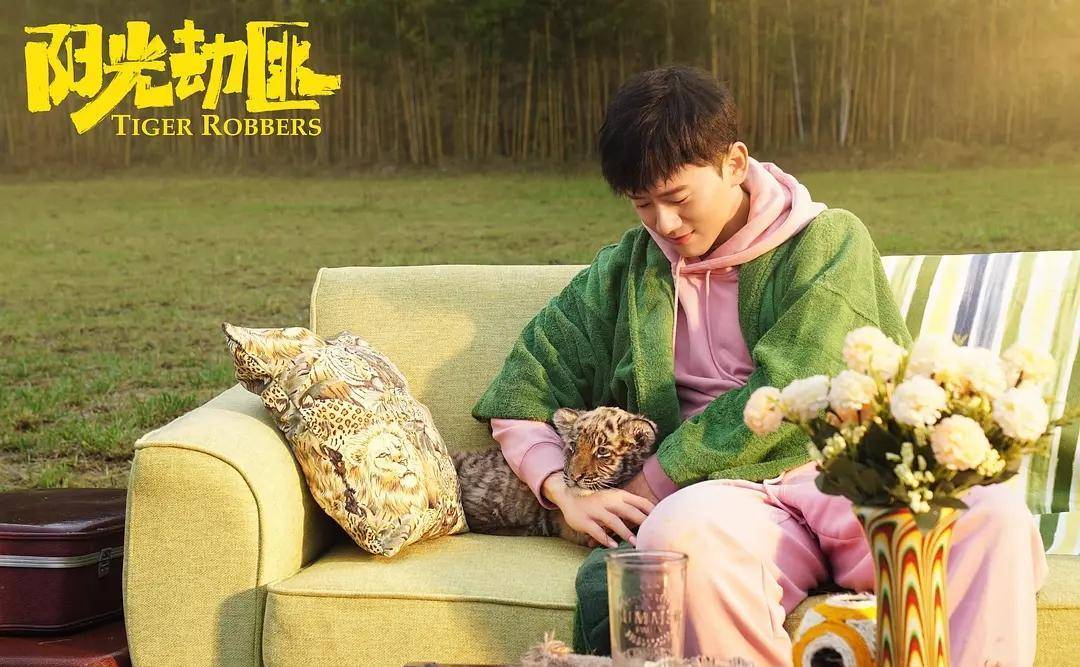 《阳光劫匪》五一档上映,马丽宋佳主演,多次改档能否带来奇迹_电影