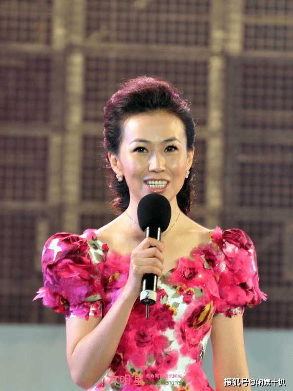 央视著名主持董艺:从河南郑州走出的美女主持人,为何53岁仍未婚?