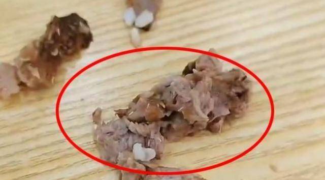 女子称吃黄焖排骨发现满嘴是蛆，总部提出赔偿4888元，删除视频