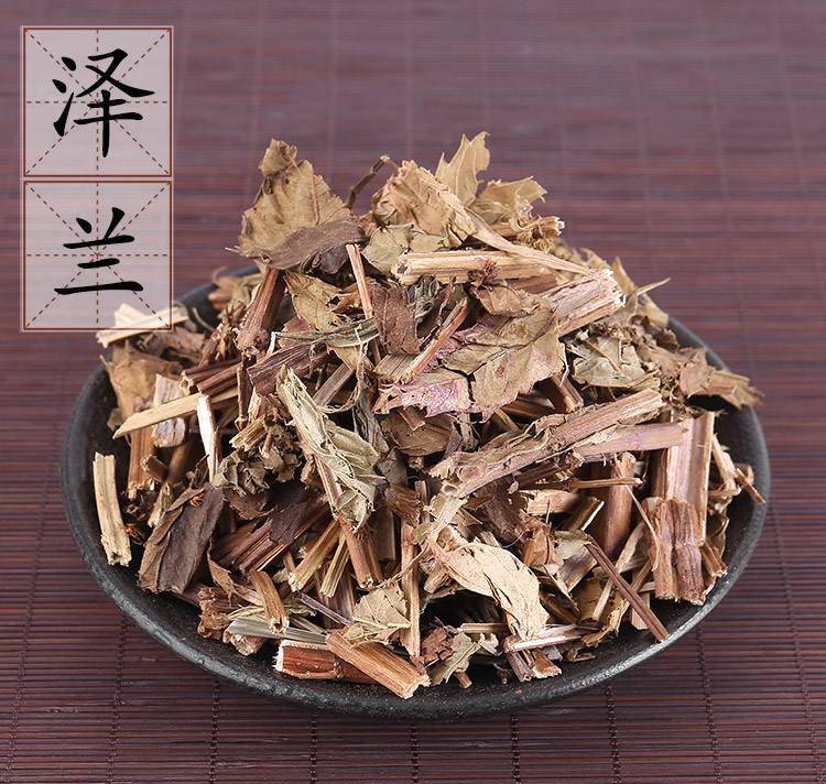 农村称它为地笋或地瓜儿苗,要是得了水肿,浮肿,腹水就会寻找它_泽兰