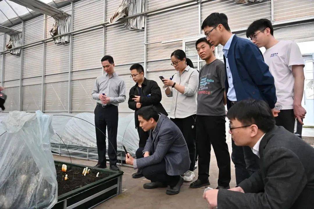 寿仙谷公司副董事长李振皓受邀参加《中国现代应用药学》青年科学家