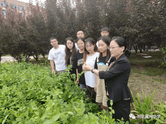 成長感悟||衡水市冀州中學優秀青年教師任海燕_反思_工作_經驗