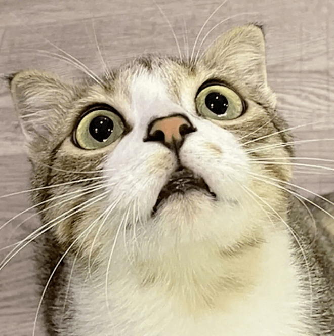 而且不仅是文字,连表情包都极其经典.不知道