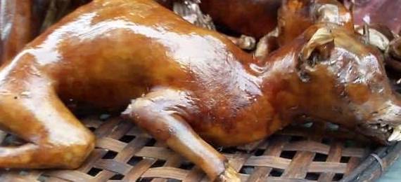 越南盛行吃狗肉,为维持鲜美肉质活生生煮熟或打死狗狗_保护_动物_现象