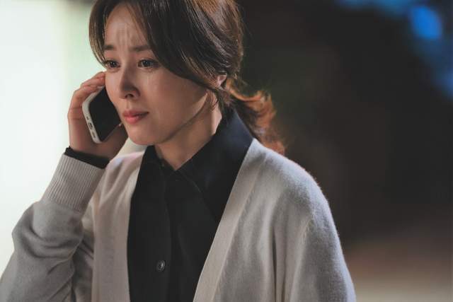 韩惠珍《离婚律师申晟瀚》收视开红盘,戏外老公被控性暴力更吸睛