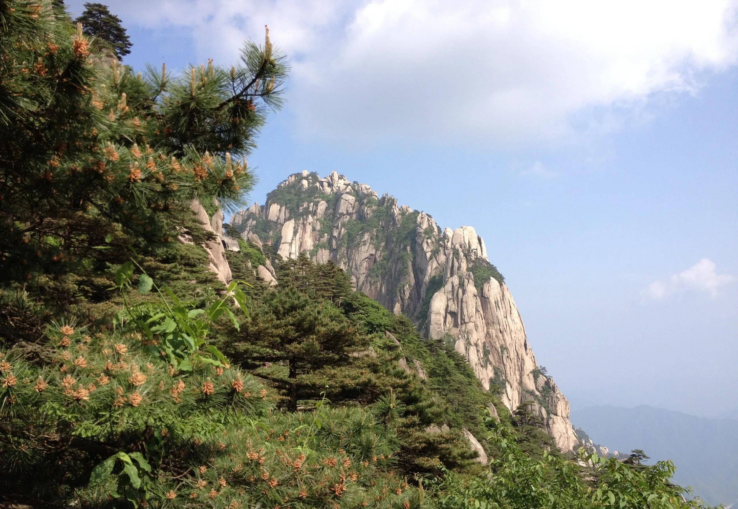 黄山旅游攻略自驾游(黄山旅游攻略自驾游路线推荐)