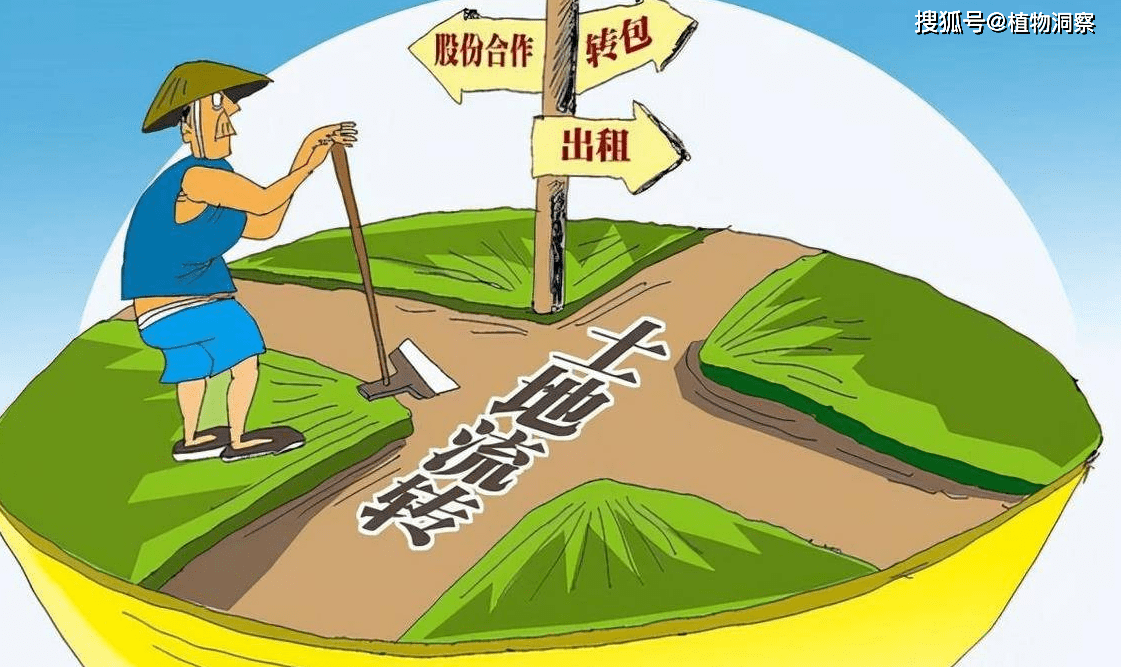 农村土地承包新规,5种情形收回承包权,一起来了解下!