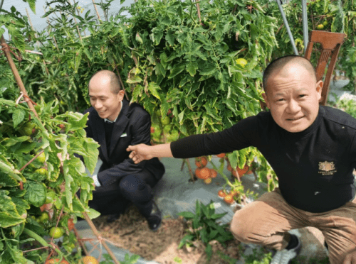 春耕备耕系列专题报道：邮储银行龙港市支行助力茄农春耕备耕 (图2)