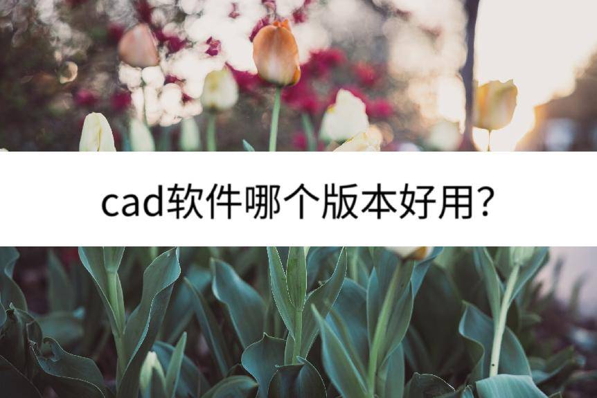 详细分析一下_autocad_进行_用户