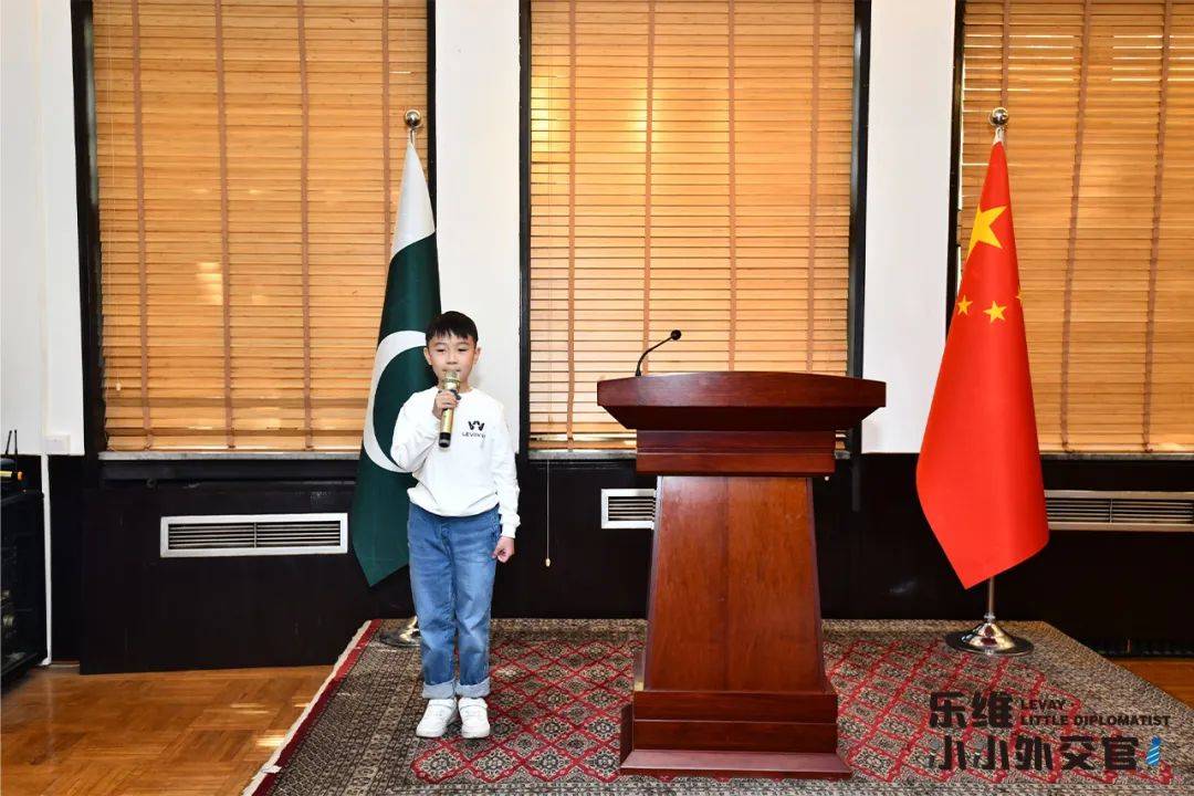 巴基斯坦驻华大使馆图片