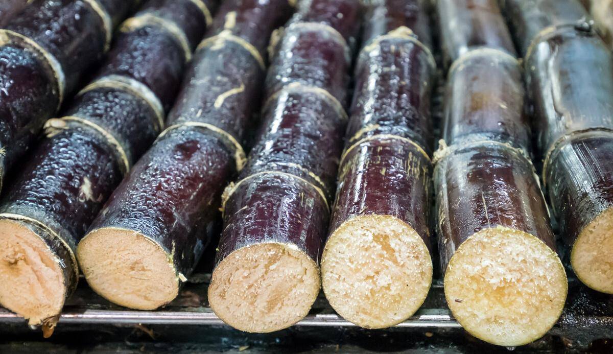 做法:1.准备一卷锡纸,先把甘蔗清洗干净,然后去掉皮.