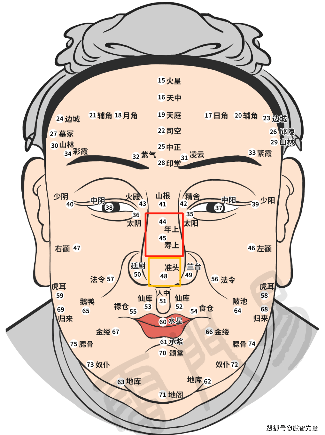 脸部纹路图解图片