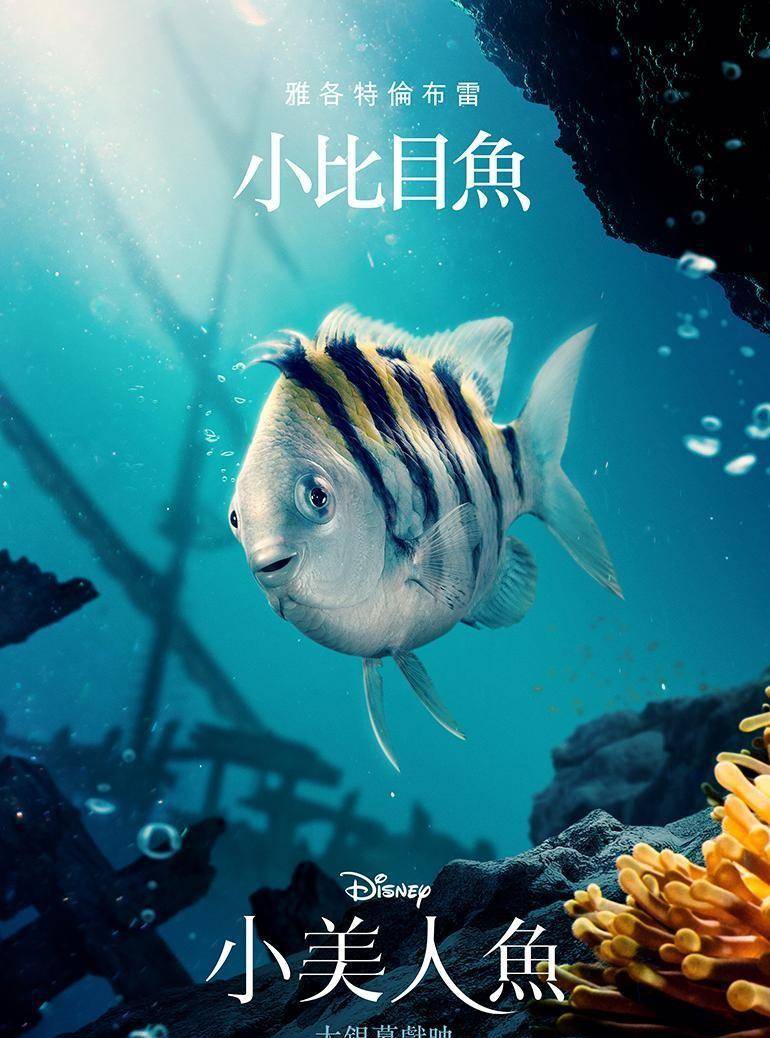 《小美人鱼》最新角色海报亮相 七大角色揭秘_乔纳霍尔金_王子_乌苏