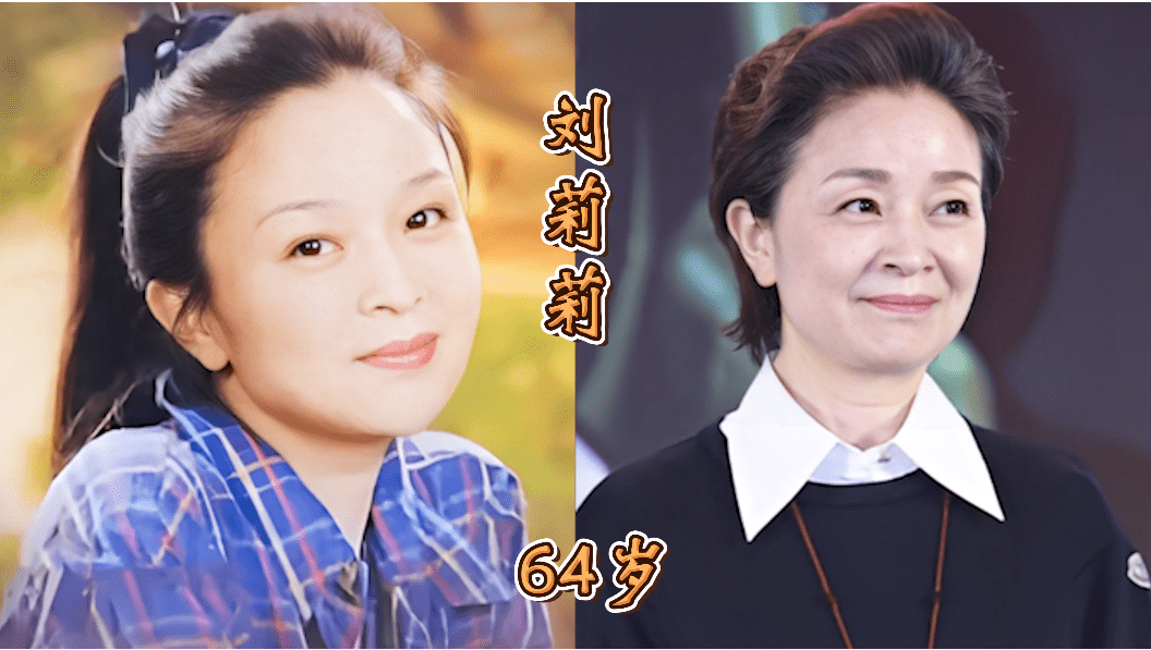 年轻时贤妻良母,老了成"恶婆婆"的17位女星,都是有实力的演员_杨昆