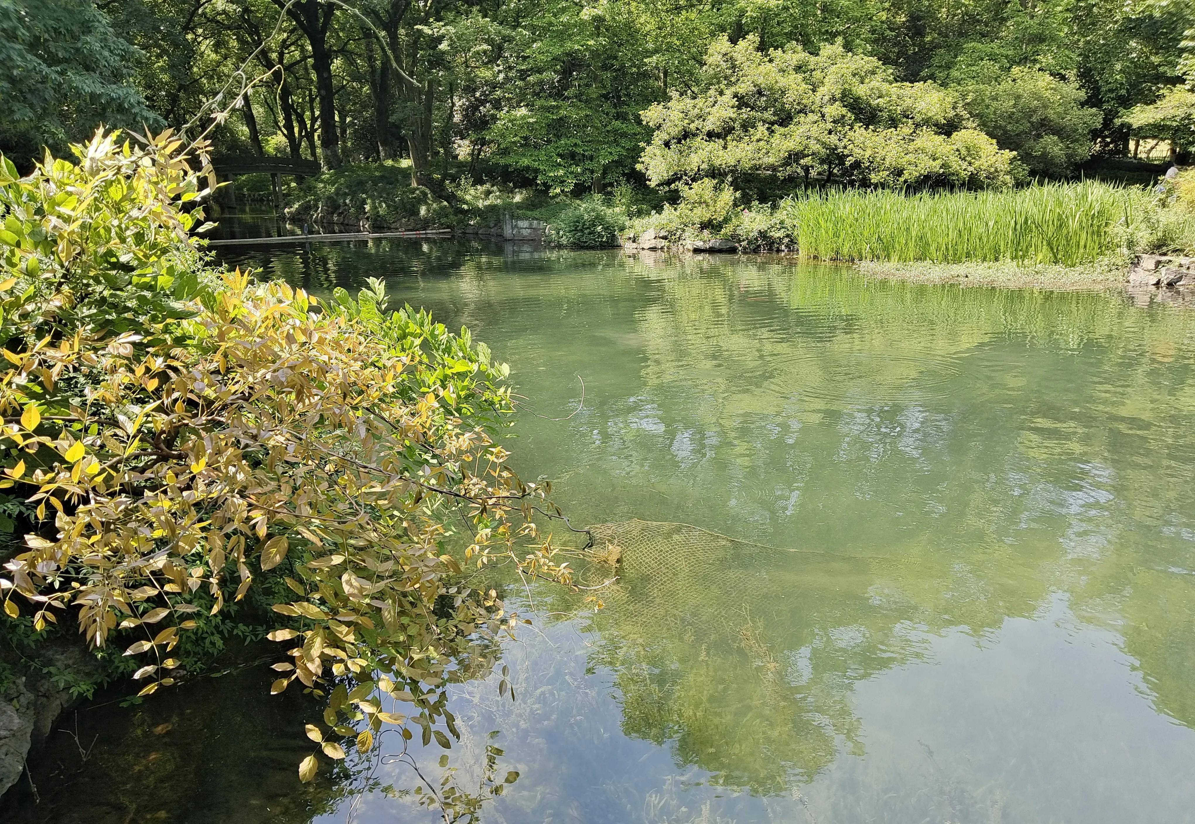 杭州浴鹄湾景区图片