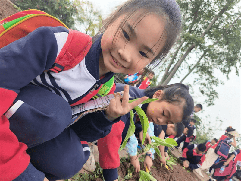 大渡口区大堰小学"劳行德兼 寻味自然"研学实践活动圆满举办_劳动
