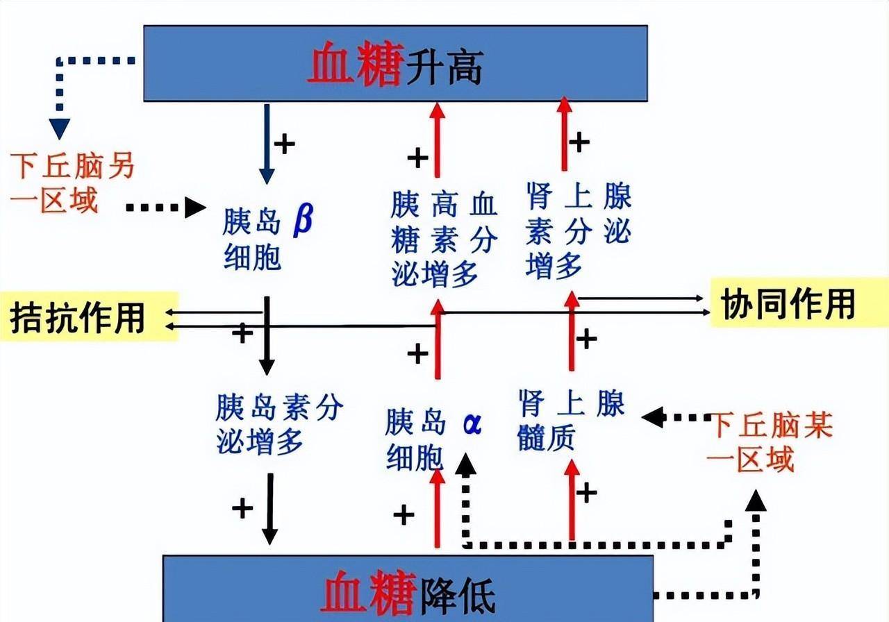 司美格鲁肽,好端端的一款降糖药,怎么就成了减肥神药?