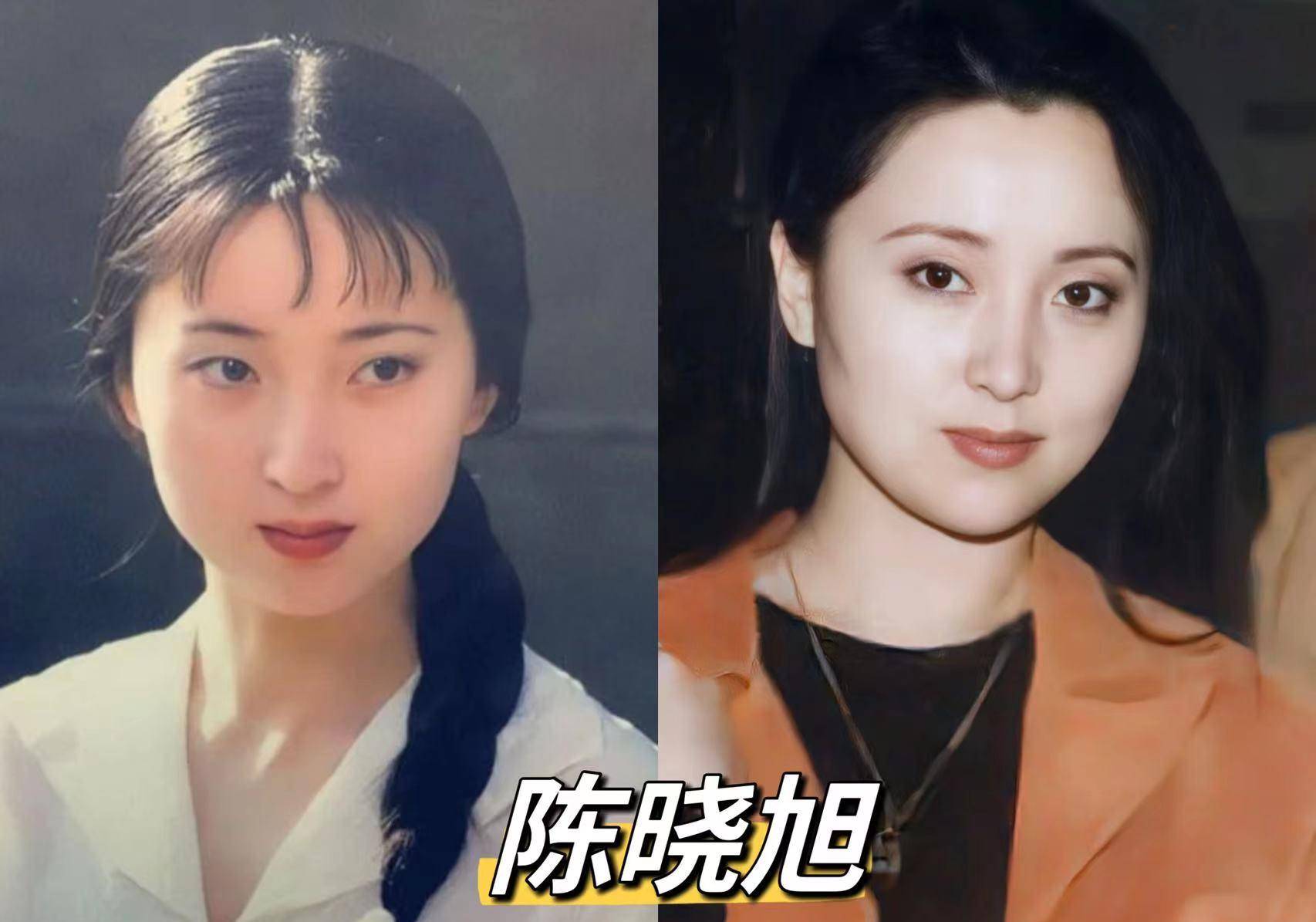 陈晓旭 