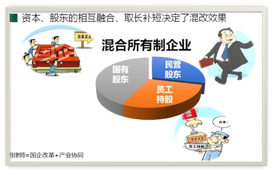 混合_所有制_企业