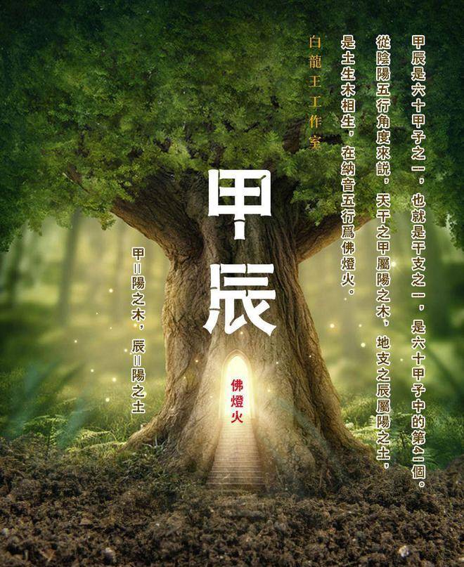 木命有六种,哪一种的运气最好?