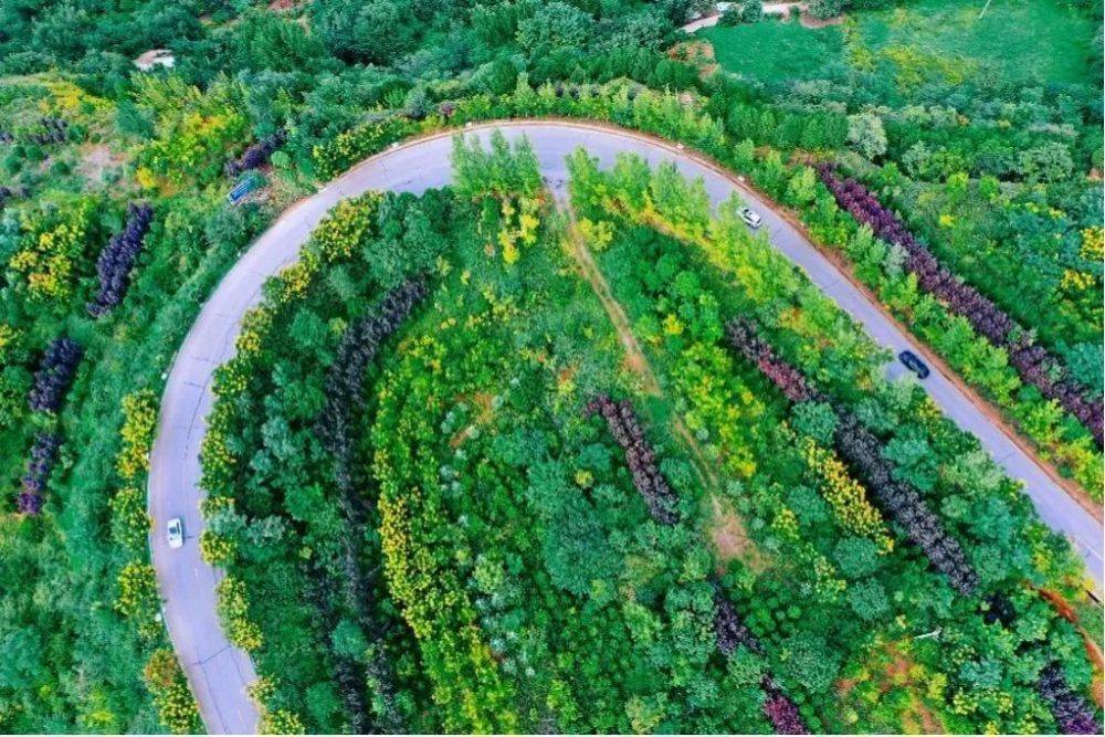 唯一一座国家级森林公园洪庆山森林公园也成了西安主城区内作为市区内