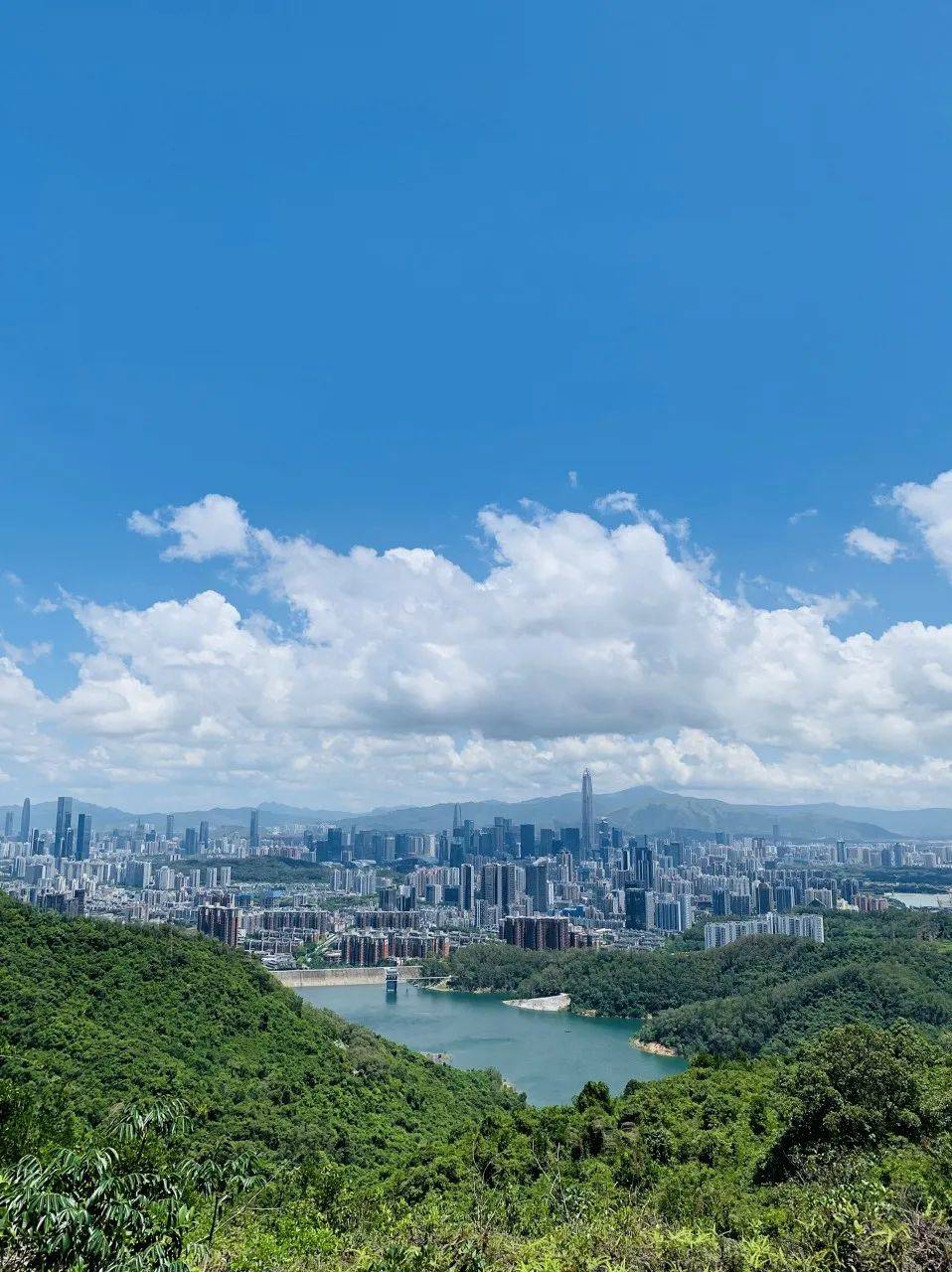 梅林山郊野径是深圳首条手作步道_福田_门票_公园