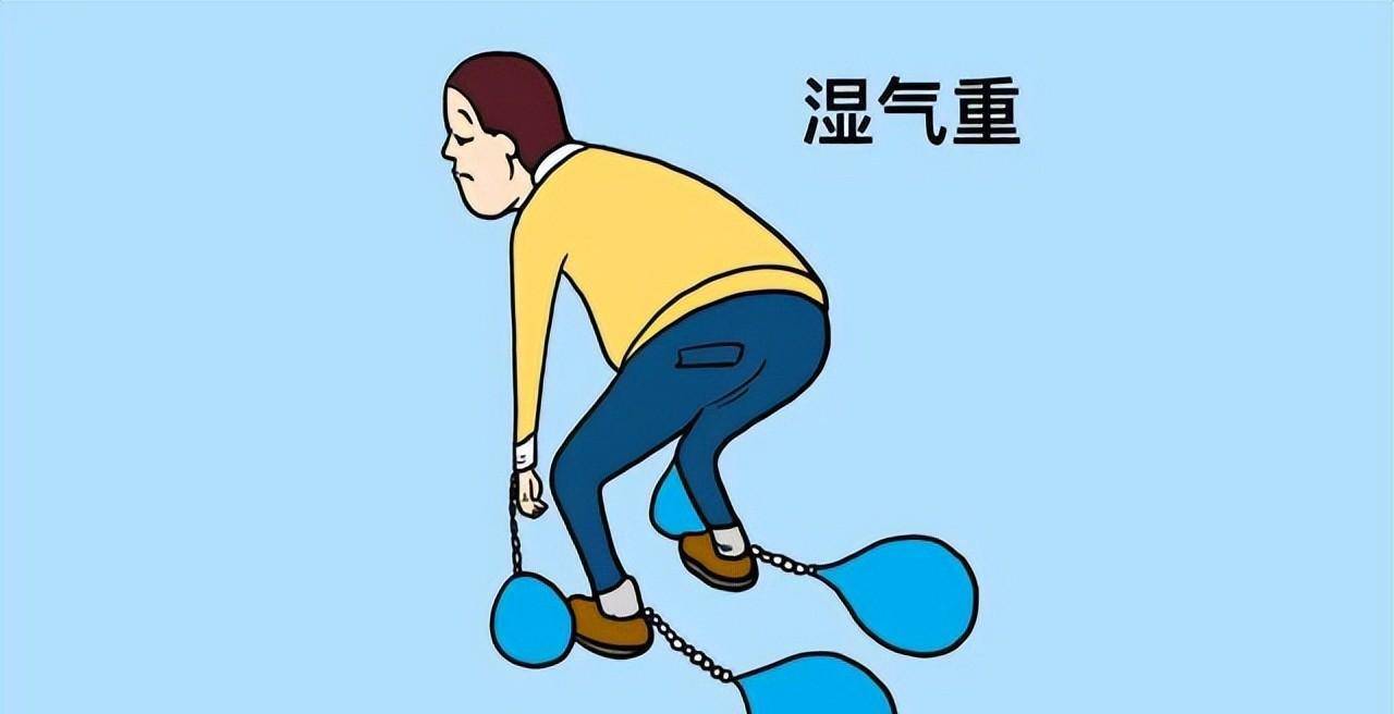 湿热,寒湿分不清,湿气只会越祛越多!_参考_脾胃_情况