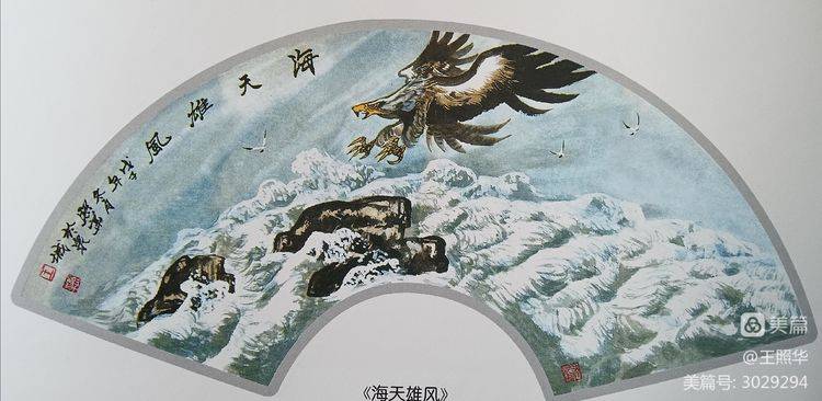 中国鹰王王照华《鹰扇面集锦》作品欣赏_雄鹰_先生_鹰眼