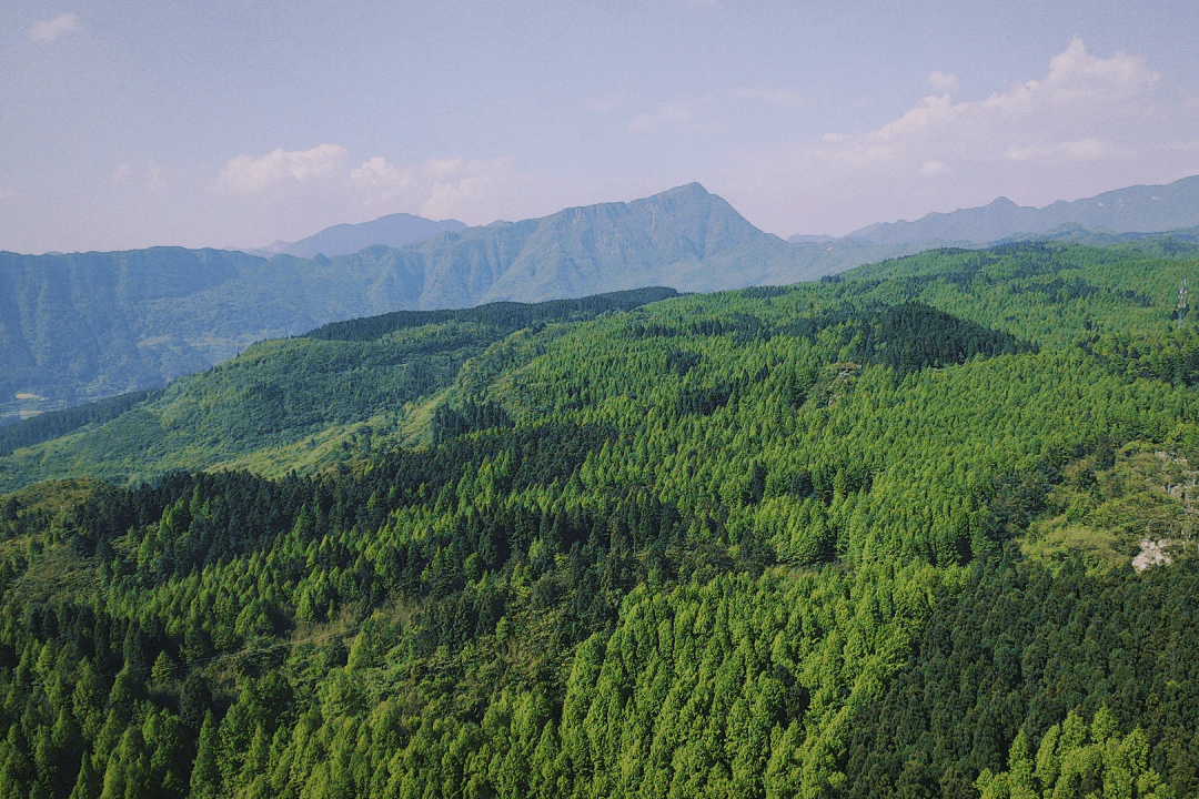 在离山王坪喀斯特森林公园不远处,有一家杉语民宿,午后可以在这里,喝