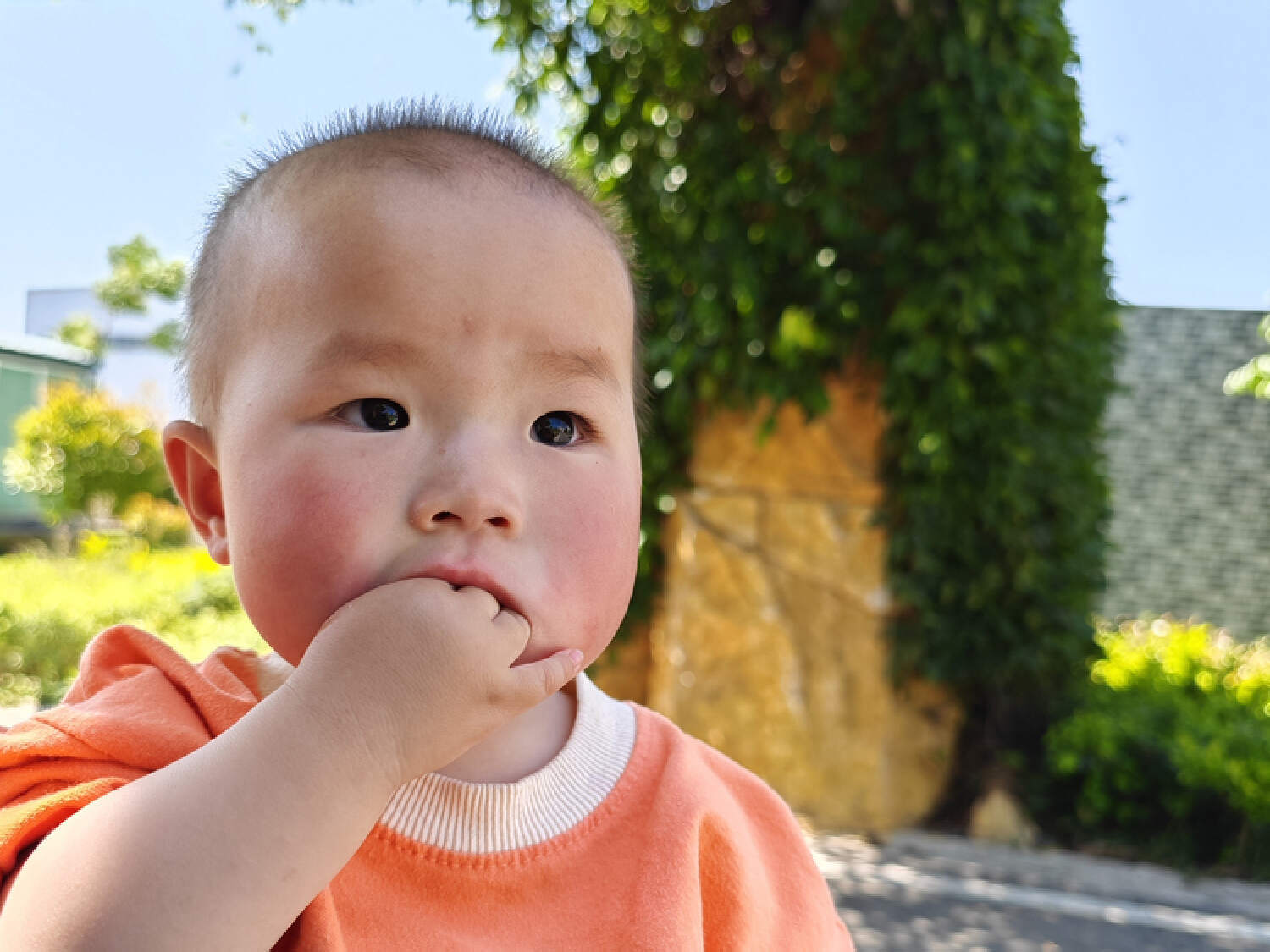 小米13 Ultra体验：徕卡全焦段四摄，一英寸可变光圈主摄显威力