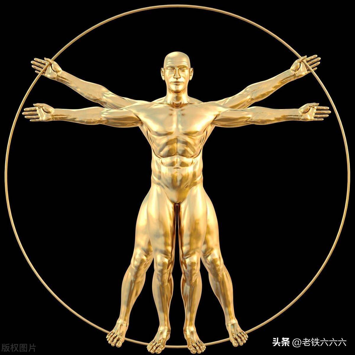 黄金比例身材怎么算_身体_部分_人体