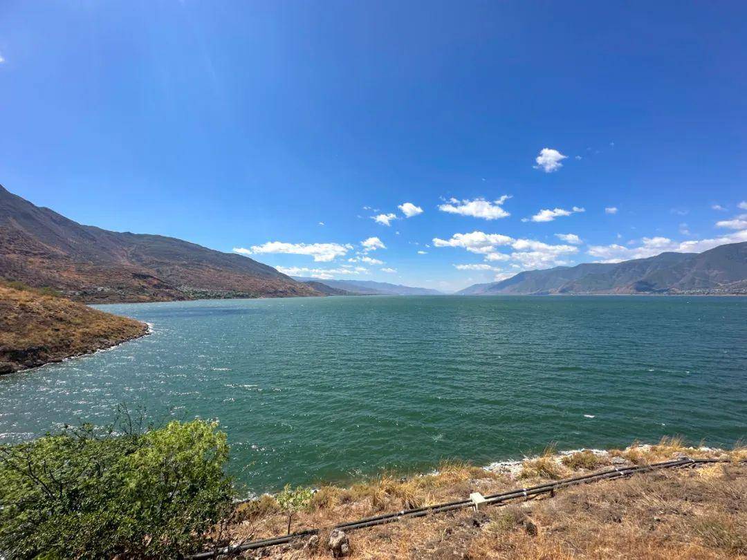 在这春夏之交的季节里,程海周边的景色也变得逐日养