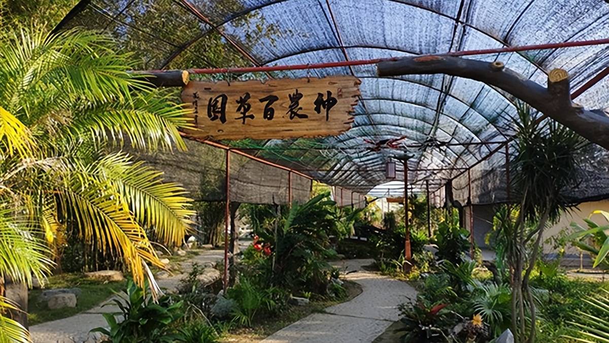 到天子山农业公园,开启田园休闲游_文化_孩子_传统
