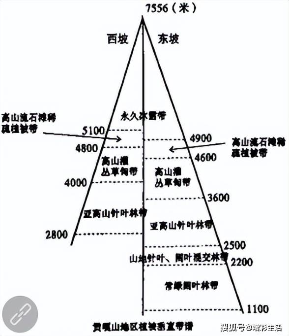 长白山祁连山天山 博格达峰国内垂直自然带谱一直是高中地理学习中的