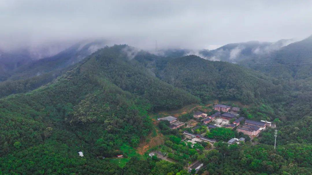 赏·黄江|雨后芙蓉寺,仿如人间仙境_宝山_烟雨_森林
