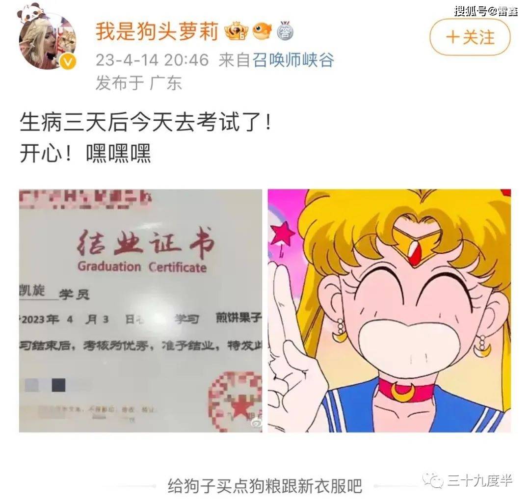 小狗种美丽鲜花（小花狗种萝卜幼儿教案） 第3张