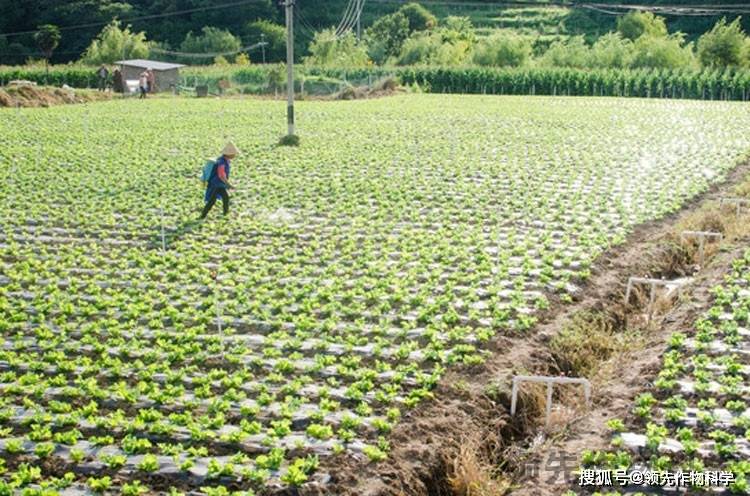 在水剂,可湿性粉剂农药中加入农用助剂,提升润湿和铺展性,促使药液