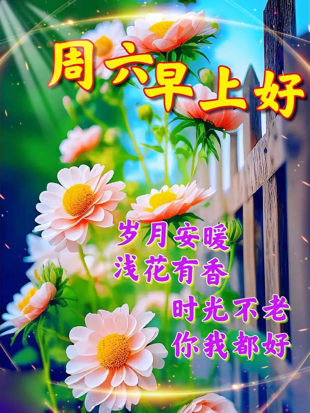 5月13日周六早上好