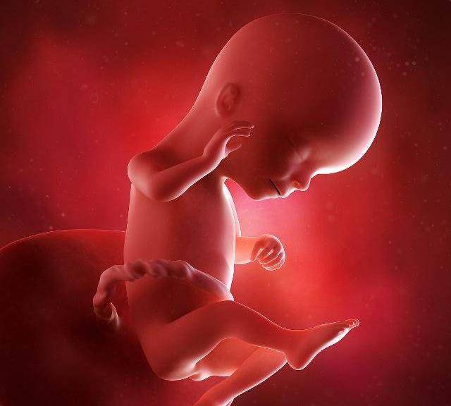 超声和四维扫描发现胎儿26周左右会在子宫里微笑!