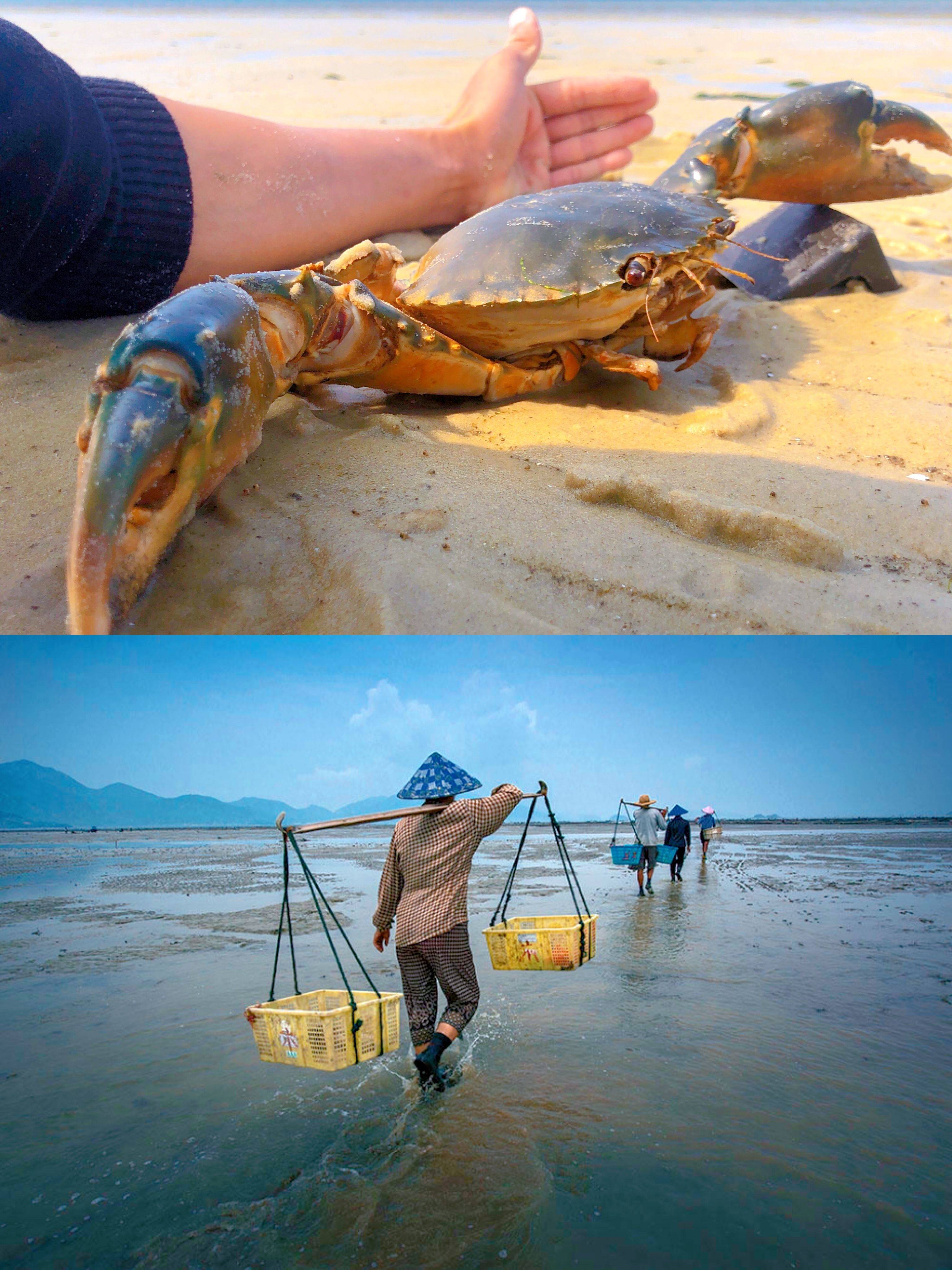 日照旅游,什么他们都来日照赶海了你竟然不知道还不快快往下翻