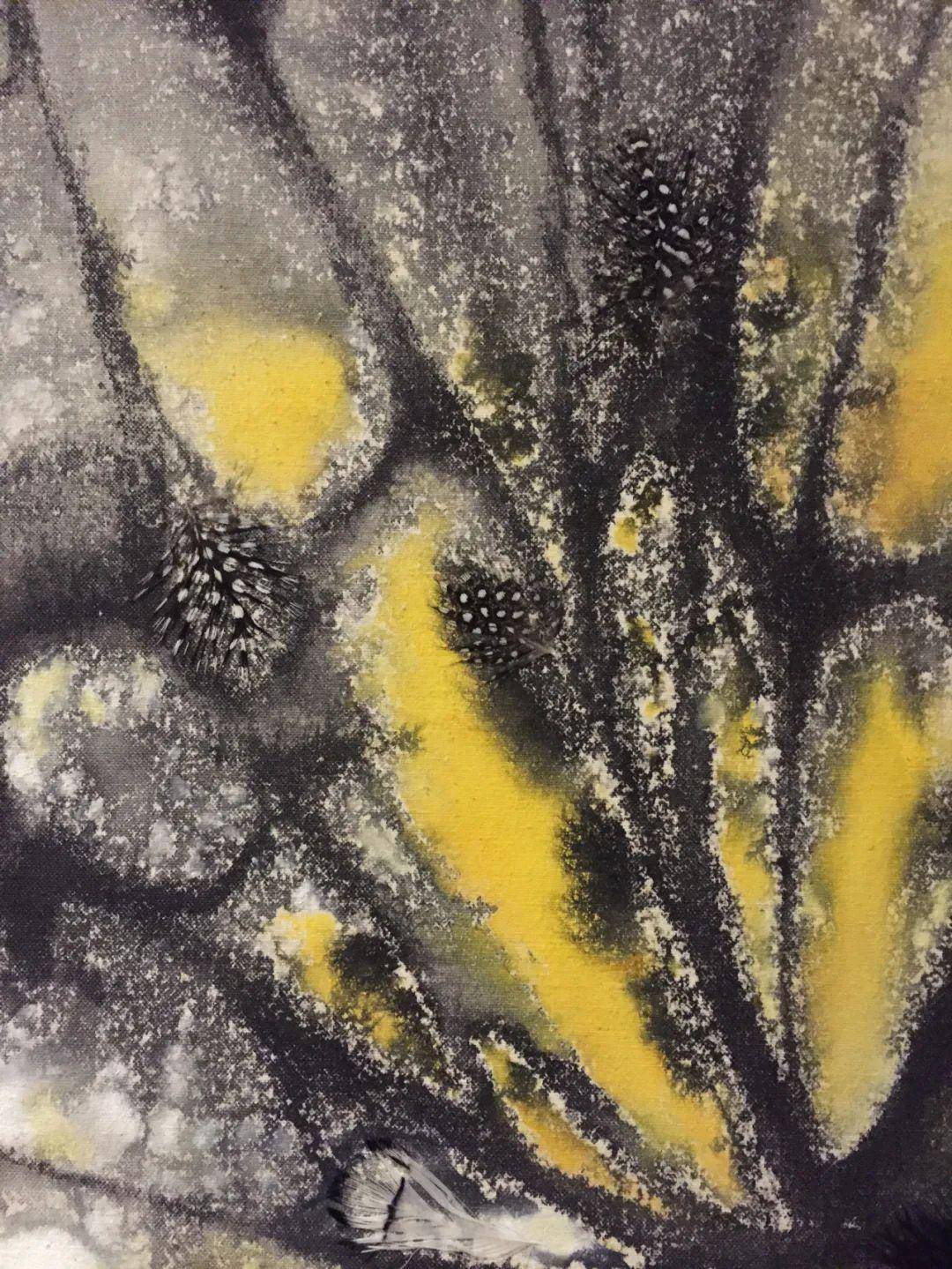 马媛媛|蝶系列作品欣赏_动物_世界_艺术