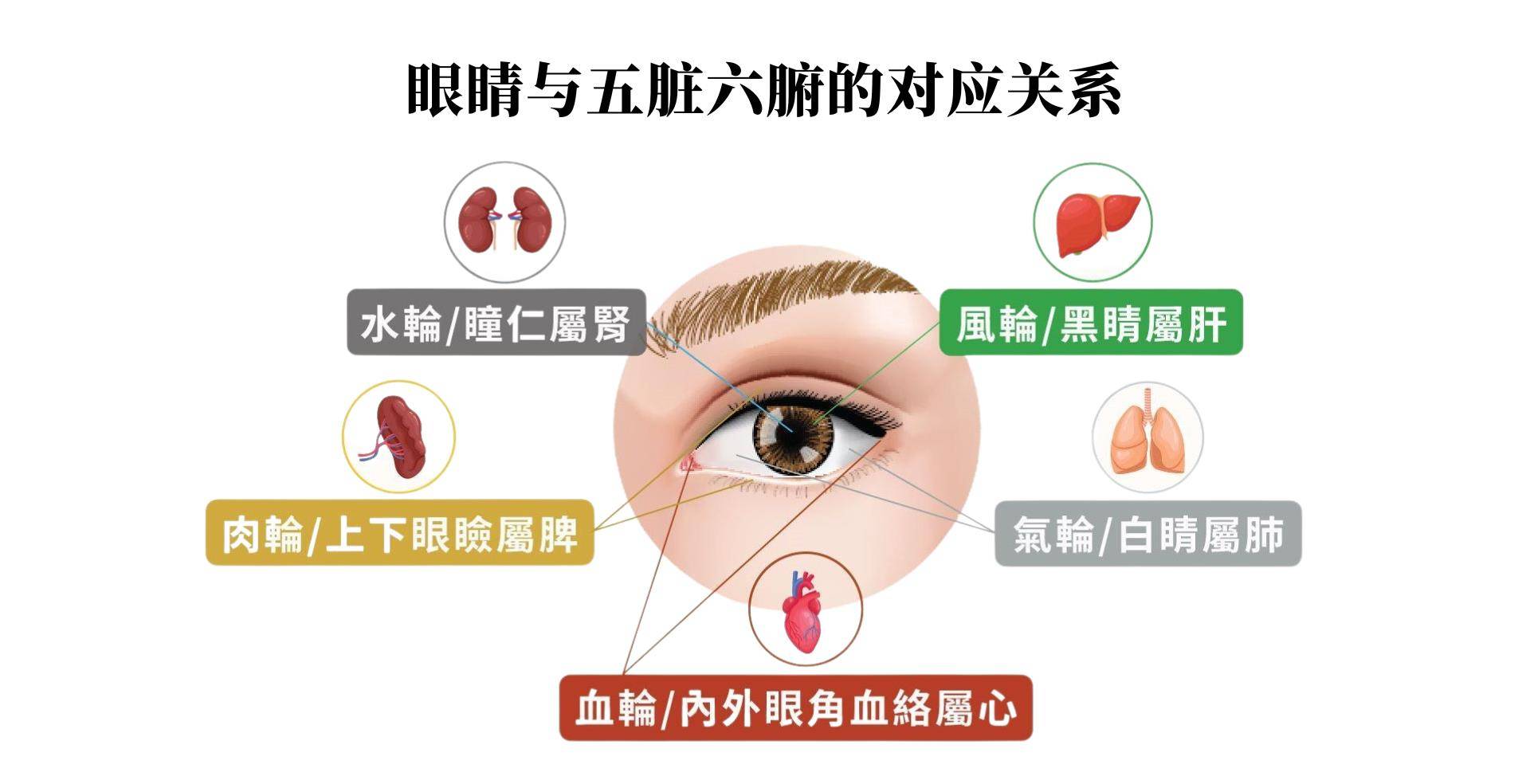 眼睛_治疗_晶状体